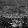 Yet another match cancelled due to wet weather